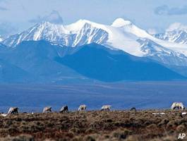 Feds Fly Unaccompanied Minors to Alaska